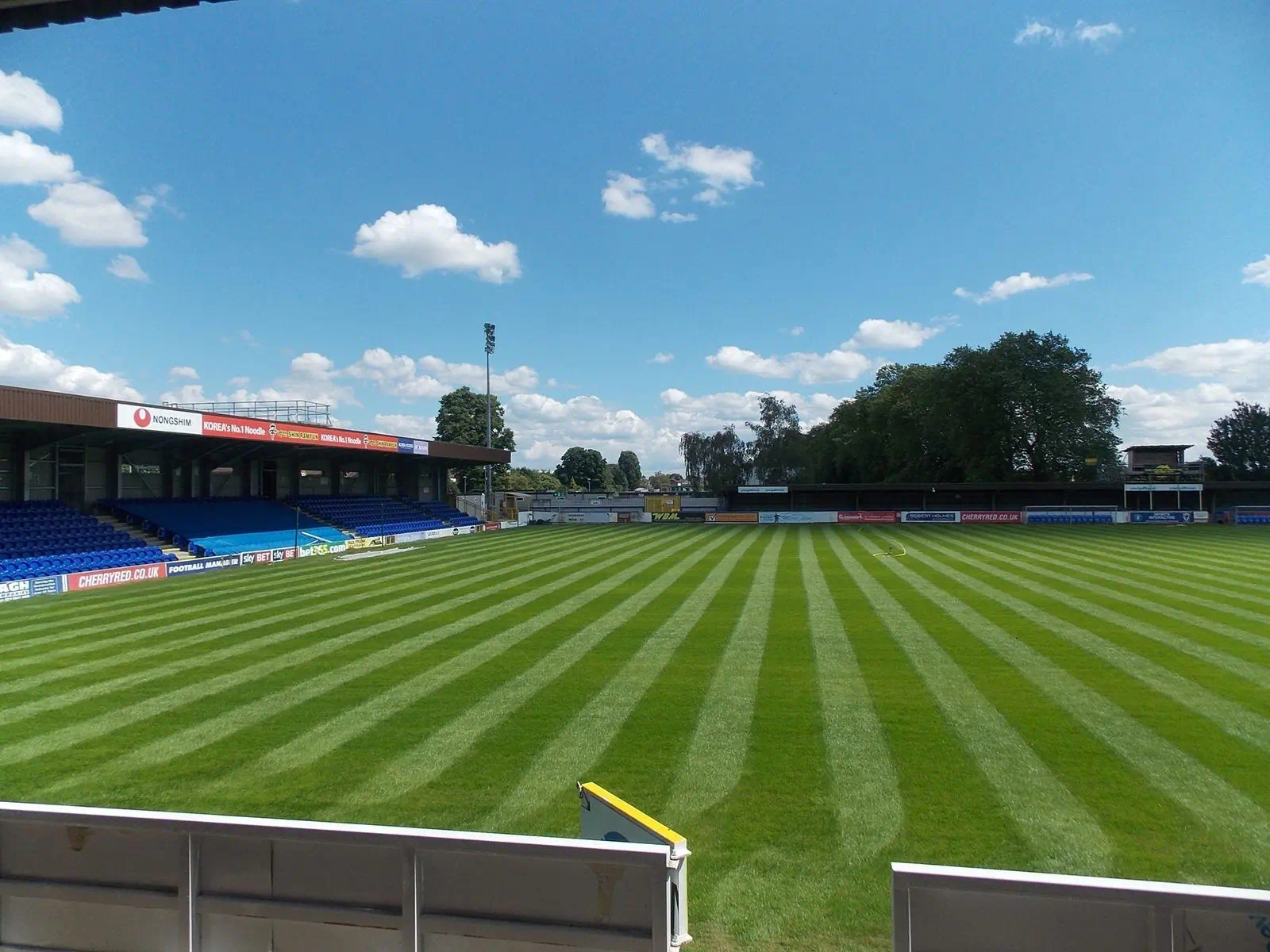 Chelsea WFC